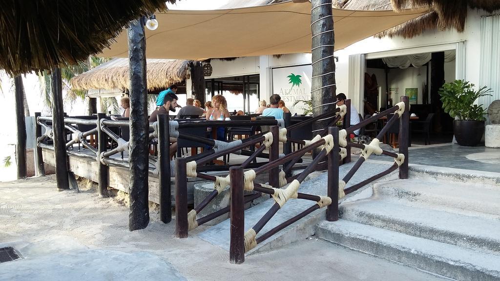 Hotel Club Akumal Caribe Exteriér fotografie
